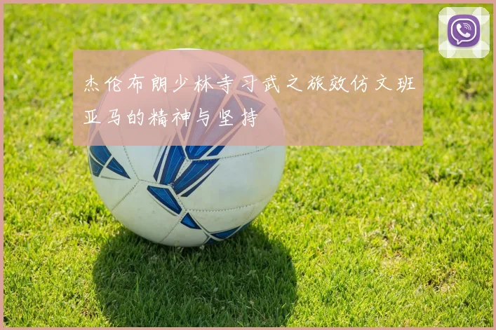 杰伦布朗少林寺习武之旅效仿文班亚马的精神与坚持