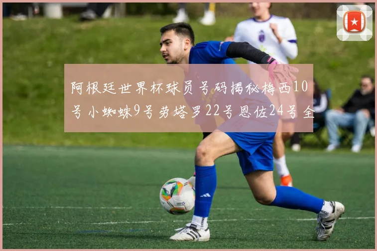 阿根廷世界杯球员号码揭秘梅西10号小蜘蛛9号劳塔罗22号恩佐24号全解析