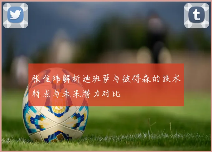 张佳玮解析迪班萨与彼得森的技术特点与未来潜力对比